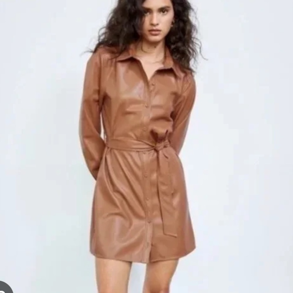 ARITZIA Wilfred Caroline Dress - Vegan Leather belted shirt dress